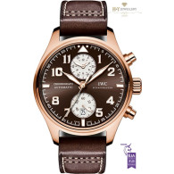 IWC Pilots Chronograph Edition Antoine de Saint Exupery Rose gold - ref IW387805