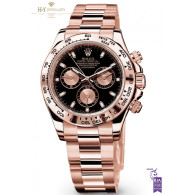 Rolex Daytona Everose - ref 116505